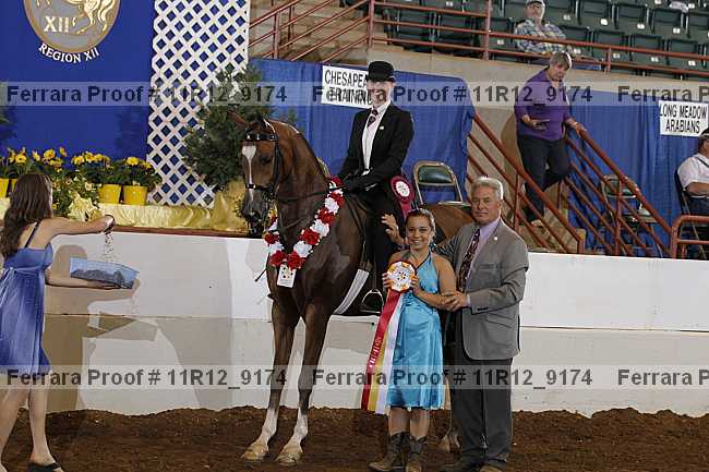 Proof 11r12_9174