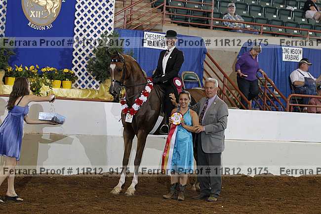 Proof 11r12_9175