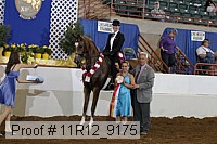 11r12_9175 proof