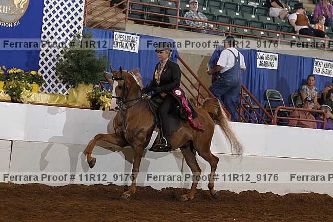 Proof 11r12_9176
