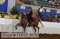 11r12_9176 proof