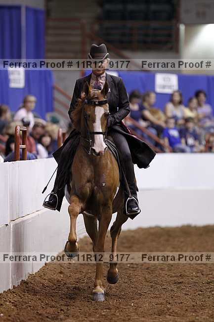 Proof 11r12_9177