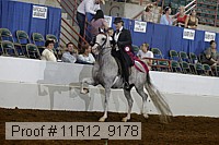 11r12_9178 proof