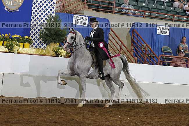 Proof 11r12_9181