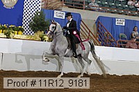 11r12_9181 proof
