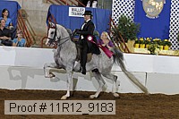 11r12_9183 proof