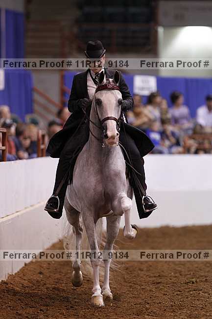 Proof 11r12_9184