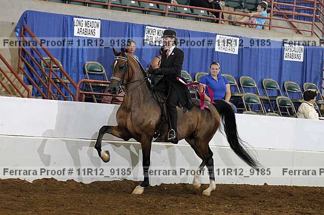 Proof 11r12_9185