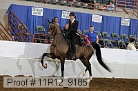 11r12_9185 proof