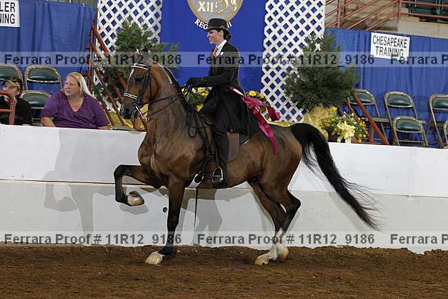 Proof 11r12_9186
