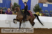 11r12_9186 proof