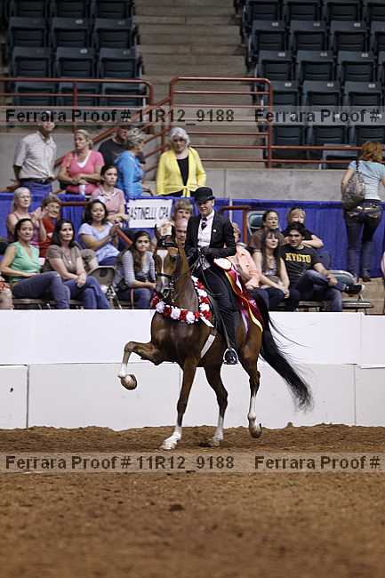 Proof 11r12_9188