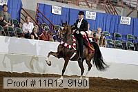 11r12_9190 proof