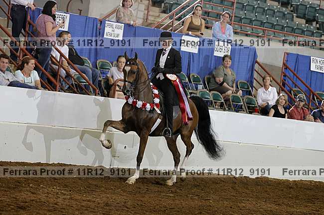 Proof 11r12_9191