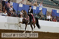 11r12_9191 proof