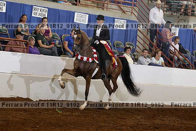 Proof 11r12_9192