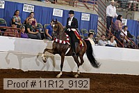11r12_9192 proof