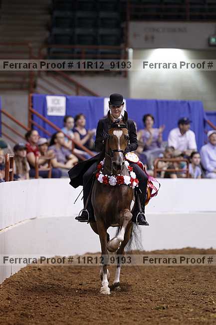 Proof 11r12_9193