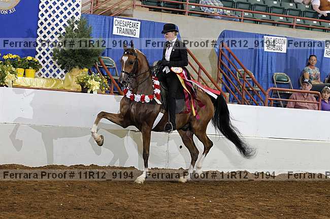 Proof 11r12_9194