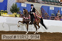 11r12_9194 proof