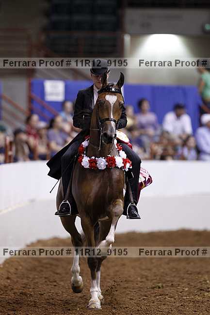 Proof 11r12_9195