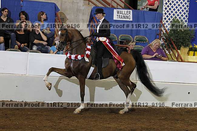 Proof 11r12_9196