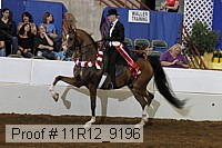 11r12_9196 proof