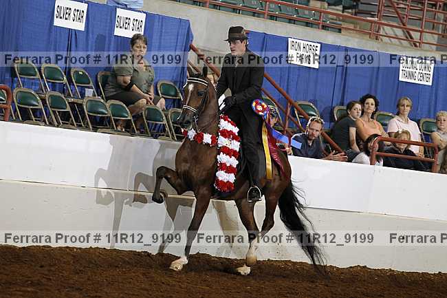Proof 11r12_9199