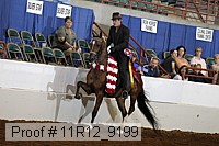 11r12_9199 proof