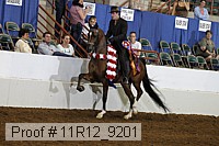11r12_9201 proof
