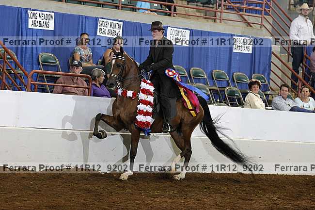 Proof 11r12_9202