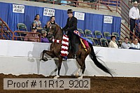 11r12_9202 proof