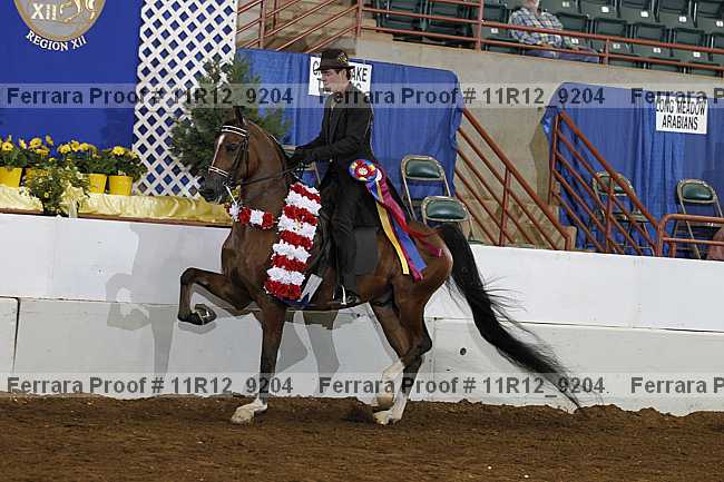 Proof 11r12_9204