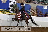 11r12_9204 proof