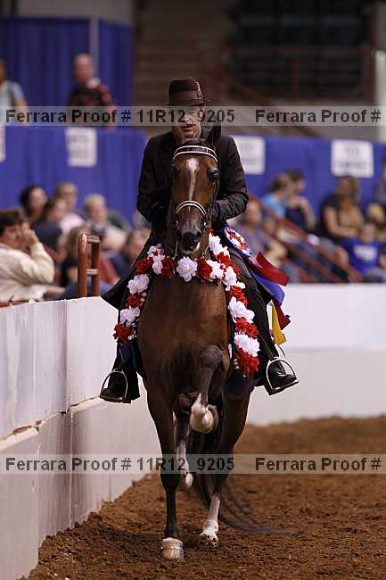 Proof 11r12_9205