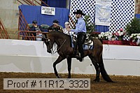 11r12_3328 proof