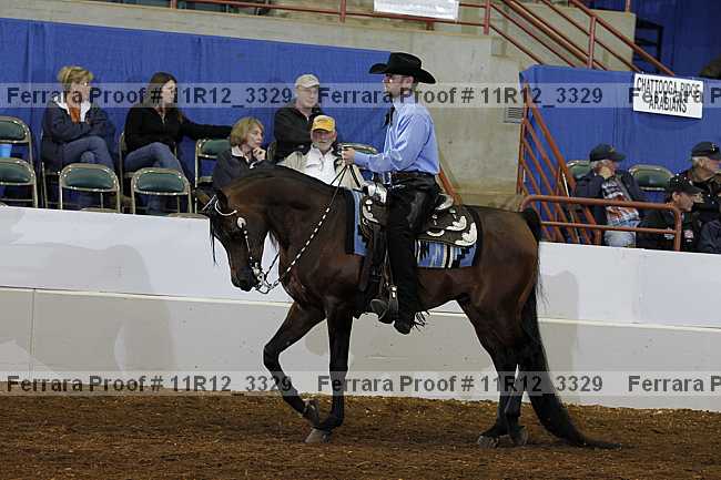 Proof 11r12_3329