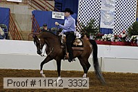 11r12_3332 proof