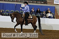 11r12_3333 proof