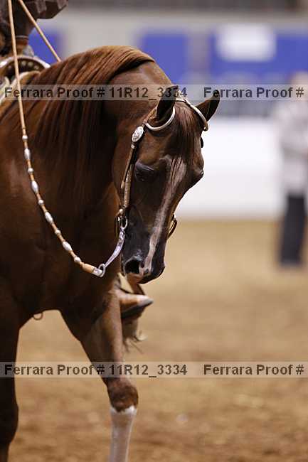 Proof 11r12_3334