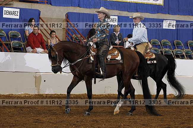 Proof 11r12_3335