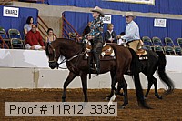 11r12_3335 proof