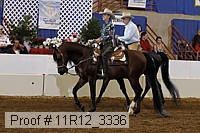 11r12_3336 proof