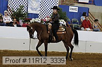 11r12_3339 proof