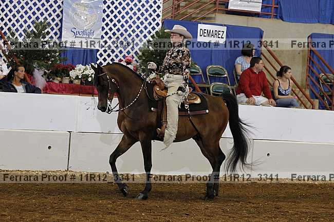 Proof 11r12_3341