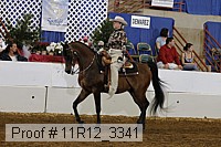 11r12_3341 proof