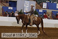 11r12_3342 proof