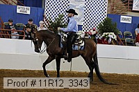 11r12_3343 proof