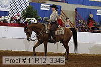 11r12_3346 proof