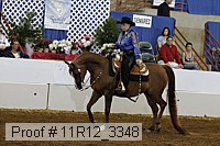 11r12_3348 proof